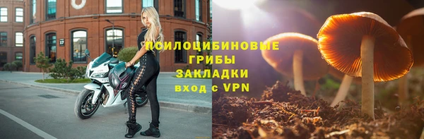 прущие крисы Белоозёрский
