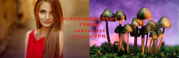 эйфоретик Белокуриха