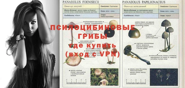 эйфоретик Белокуриха