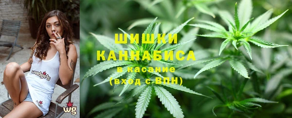 эйфоретик Белокуриха